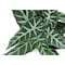 Monarch Specialties Artificial Plant, 8" Tall, Alocasia, Indoor, Faux, Fake, Table, Greenery, Potted, Set Of 2 I 9582 - alternate 4